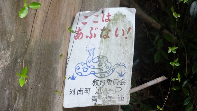 第3回大学探索レポートの掲載資料 7（s-DSC00983.jpg）