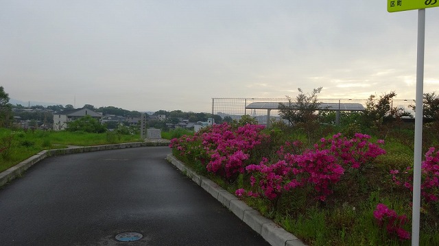 第3回大学探索レポートの掲載資料 11（s-DSC00991.jpg）
