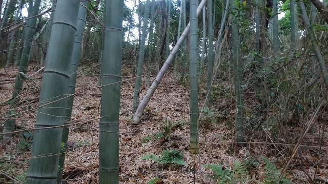 第3回大学探索レポートの掲載資料 20（s-DSC01011.jpg）