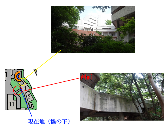 第4回大学探索レポートの掲載資料 12（13.png）