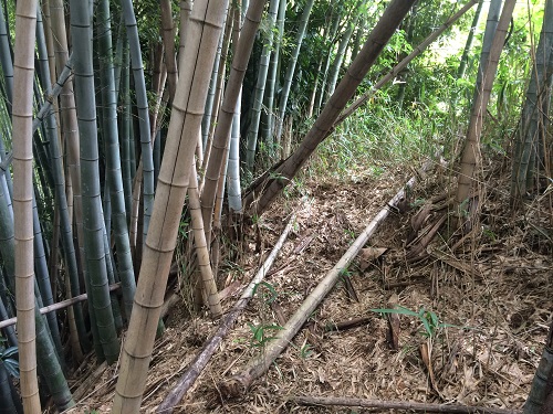 第8回大学探索レポートの掲載資料 8（8.JPG）